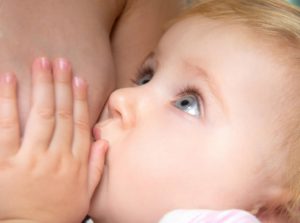 understanding breast milk